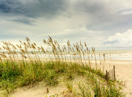 Brunswick Islands Beaches